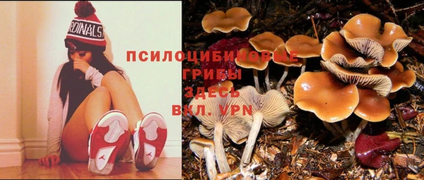 jwh Белокуриха