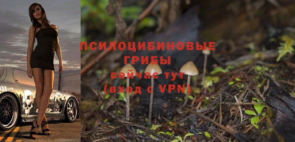 jwh Белокуриха