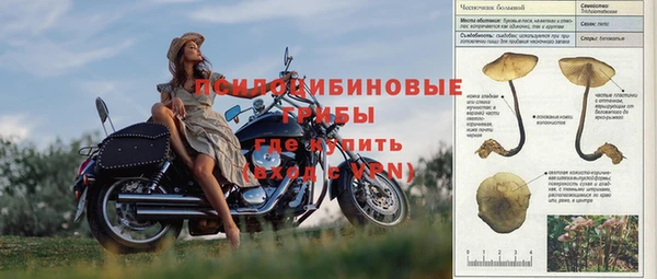 jwh Белокуриха