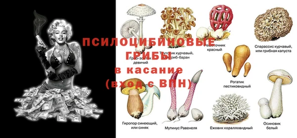 jwh Белокуриха